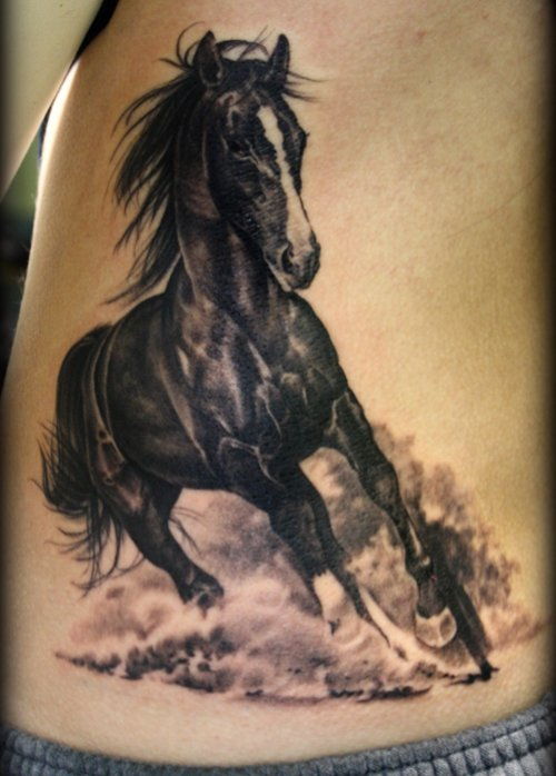 A black detailed horse
