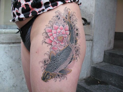 The beautiful koi fish tattoo