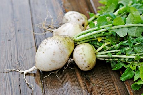 ridiche greens turnips