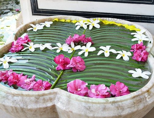 palm-leaf-with-flowers-rangoli-design12