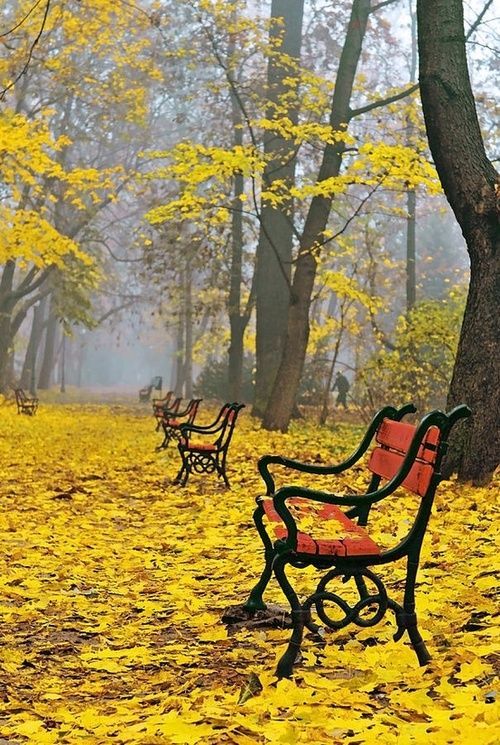 20 gyönyörű őszi képek