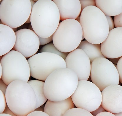 Eggs for health