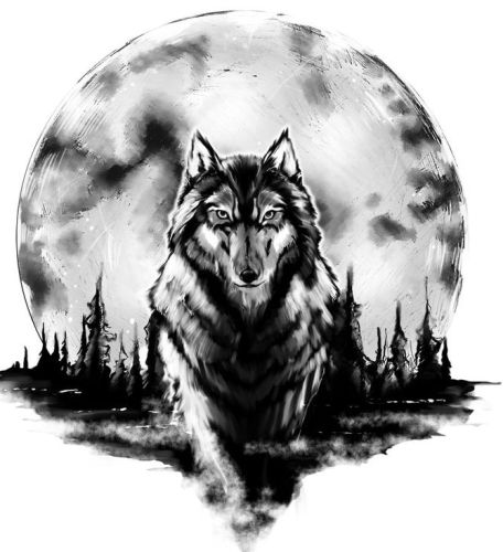 Moon and the wolf