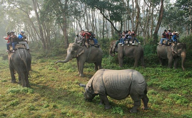 chitwan-national-park_nepal-turističnih krajev