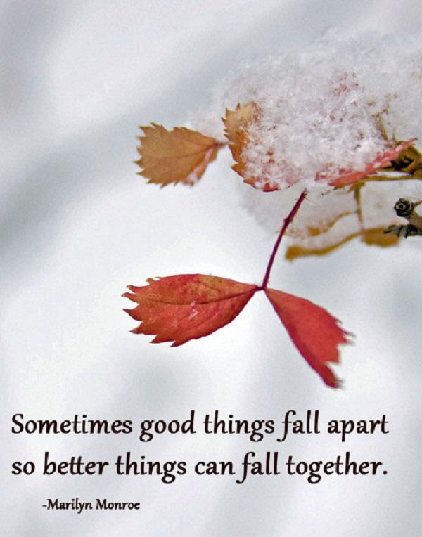 néha good things fall apart so better things can fall together