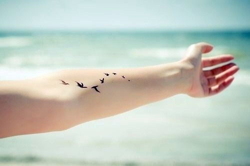 Paukščiai Tattoo
