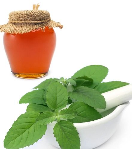 Namai Remedies For Kidney Stones basil and Honey
