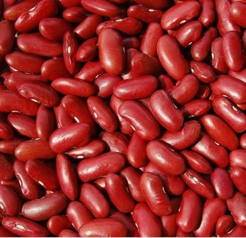 Namai Remedies For Kidney Stones Kidney Beans