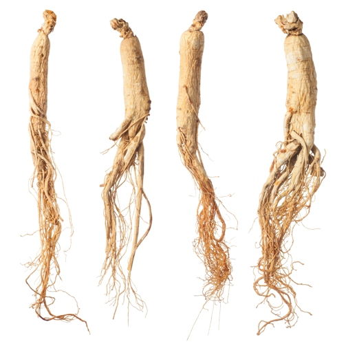 Saldymedis root