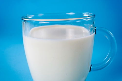Glass of milk on the light blue background