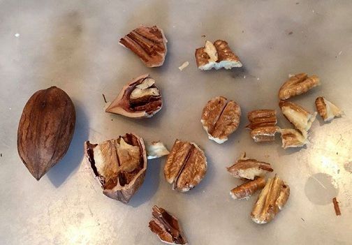 25 All Time Healthy Nuts That you Should Include in your Daily Diet