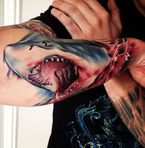 Shark head Tattoo