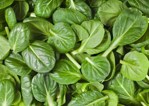 Cu frunze Green Vegetables - foods with fiber