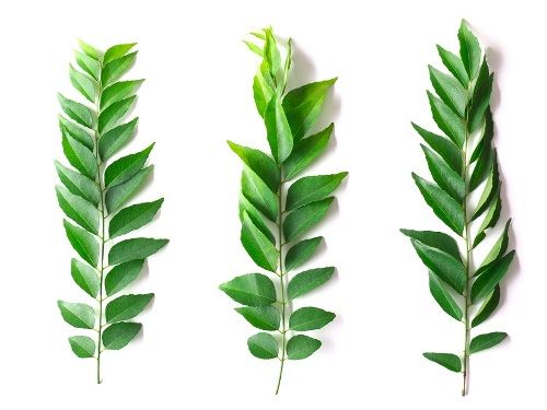Home Remedies For Cholesterol-curry leaves