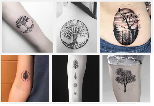 najboljše-drevesa-tatoo-designs-s-pomene