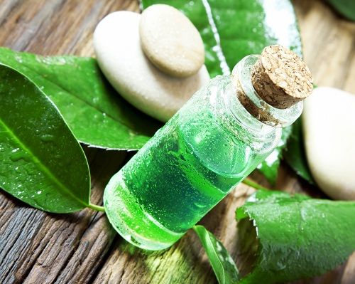 Geriausia Beauty Tips for Pimples - Tea Tree Oil