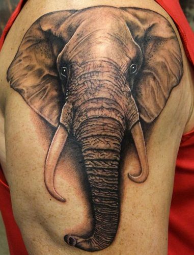 elefánt tattoo17