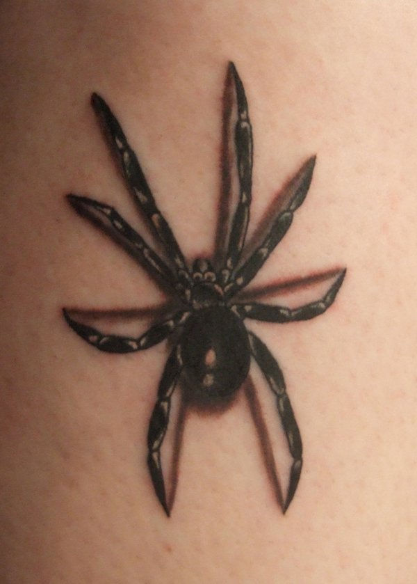 30 de modele de tatuaje spider awesome