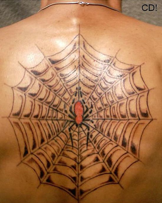 30 Awesome Spider Tattoo Designs