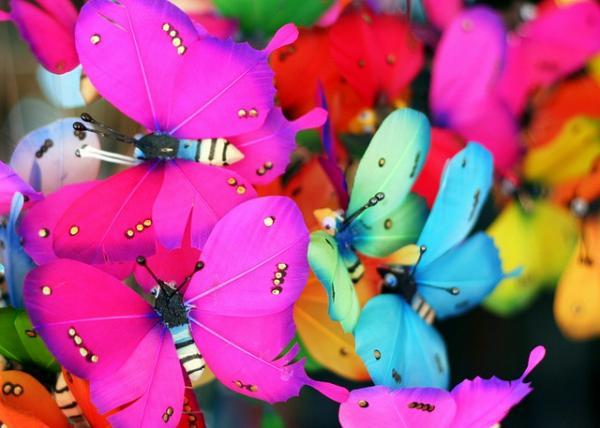 30 gyönyörű pillangó képek