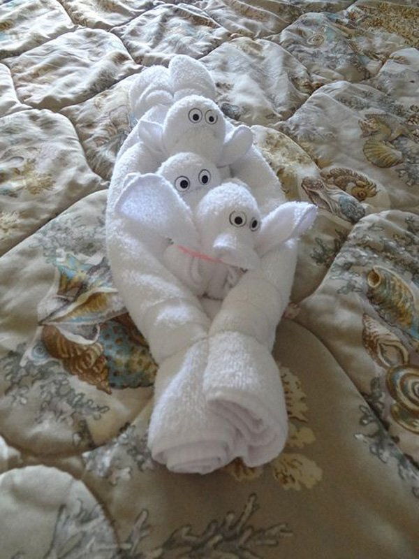 aranyos towels