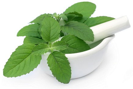 Kaip to Remove Pimples-tulsi Holy basil