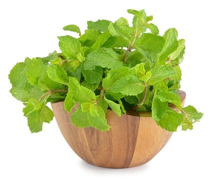 Cum to Remove Pimples--Peppermint Leaves