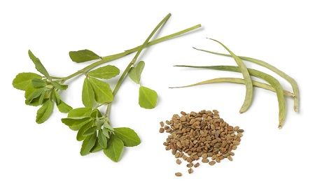How to Remove Pimples-fenugreek
