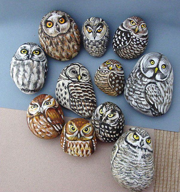 Owls. Painted rocks
