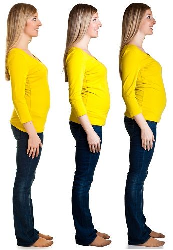 3rd Month Of Pregnancy Diet