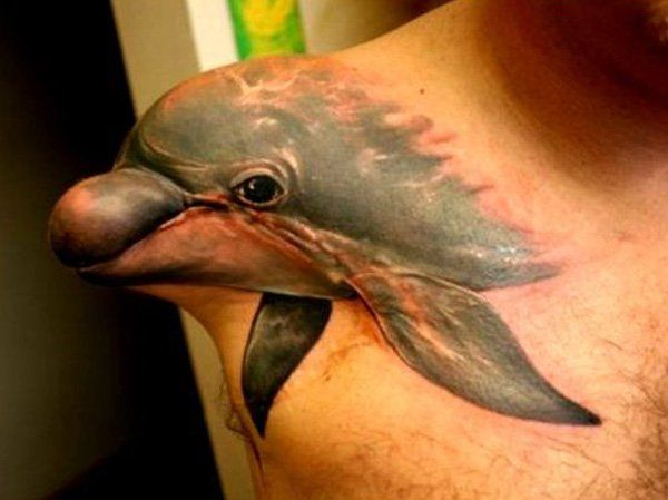 40 + Lovely Tattoos and Dolphin Dolphin