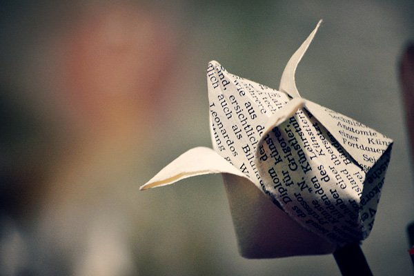 origami flower-12