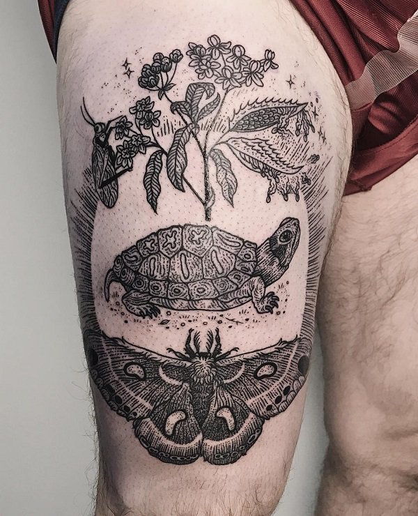 45+ Turtle Tattoo Design Ideas