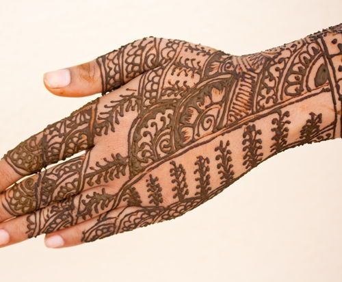 mehndi design for the whole hand