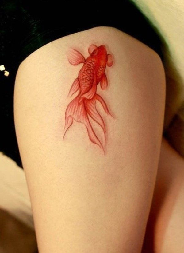50 puikus žuvies tatuiruotės dizainas