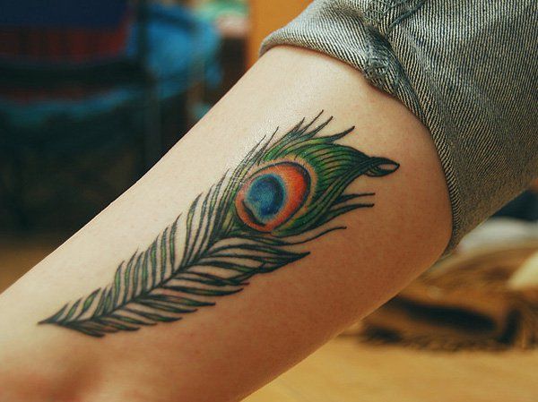 50 gražių plunksnų tatuiruotės dizaino