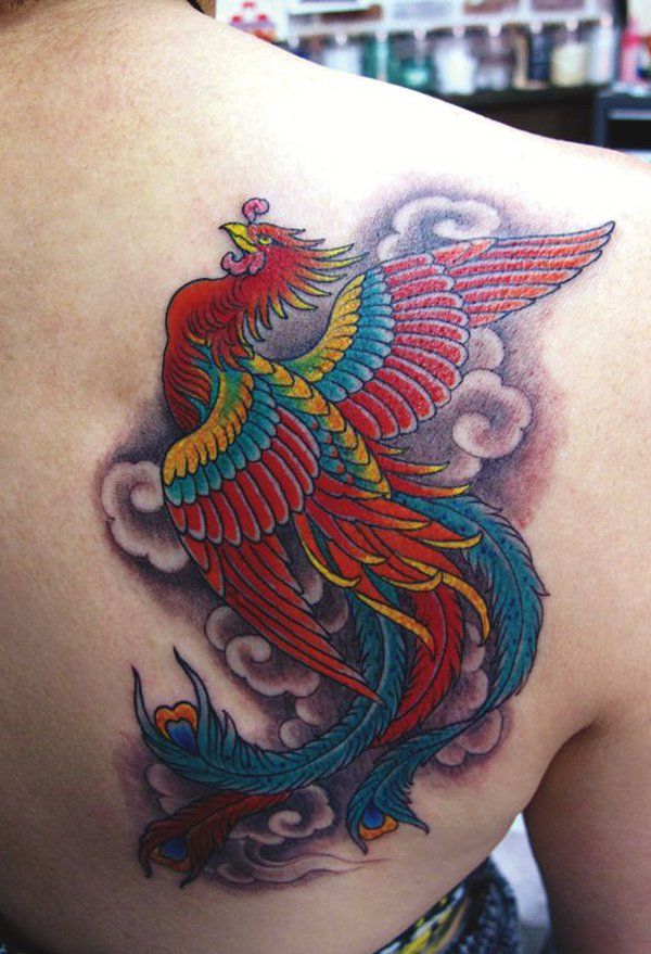 50 Gyönyörű Phoenix Tattoo Designs