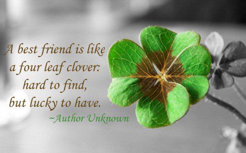 Best friend Quotes for girls13