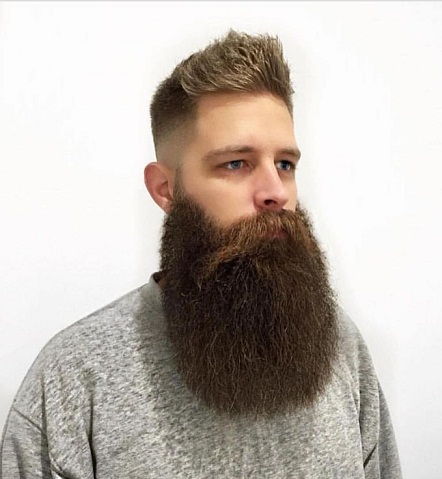 Deplin Long and Thick Beard Style