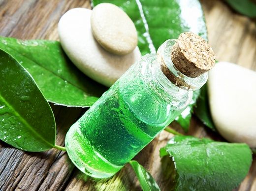 Medis tea oil for acne