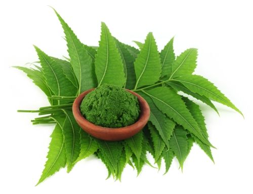 Namai Remedies For Pimples And Acne- neem leaves