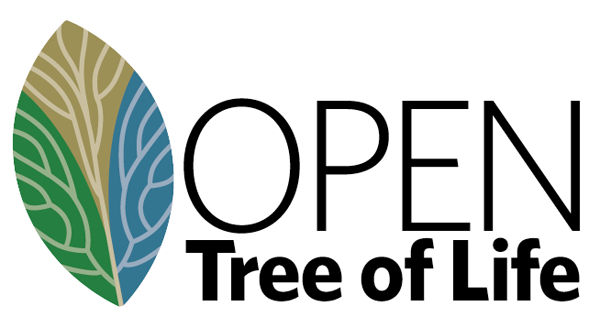 50 įkvepiančių medžių logotipų dizaino