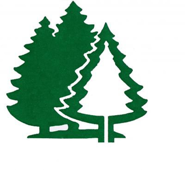 50 Inspiráló fa logó dizájn