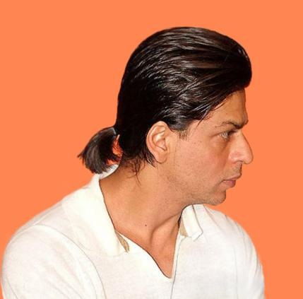 Small Ponytail Men's Hairstyle