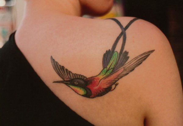 55 Amazing Točkice Hummingbird modelov
