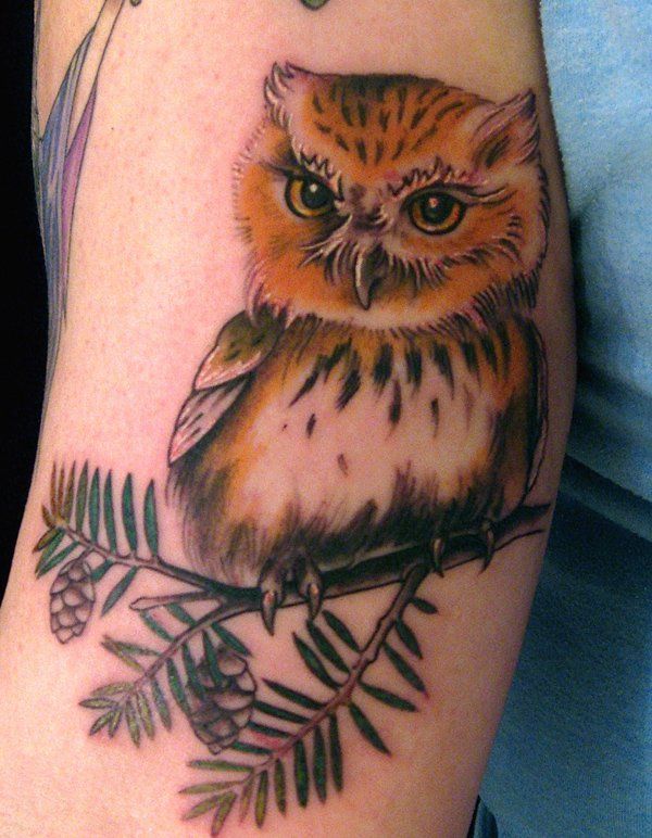 55 Awesome Owl tetovaže