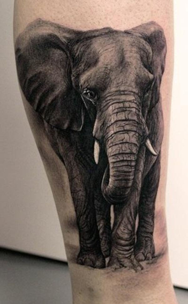 55 idei de tatuaje elefant