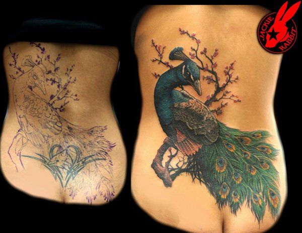 peacock_cover_up_tattoo_by_jackie_rabbit-32