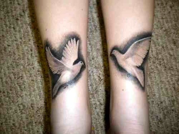 55 ramus tatuiruotės Dove