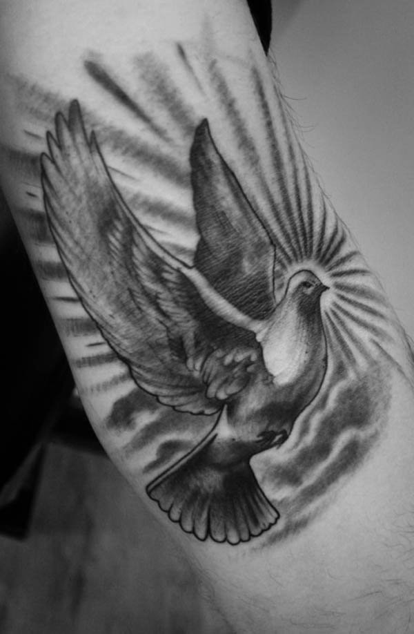 55 ramus tatuiruotės Dove